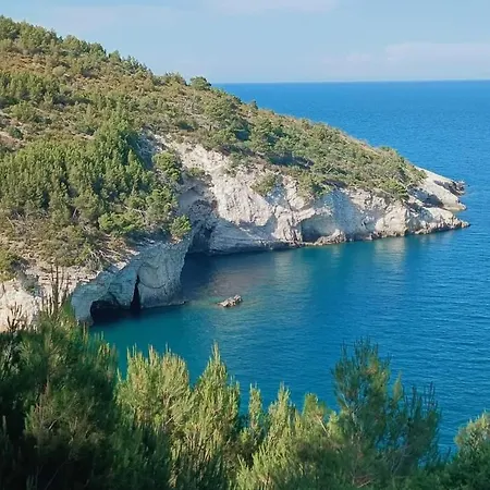 Lejlighed Maria 2 Vieste